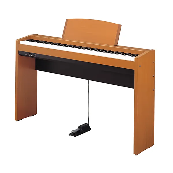 Music City – Tổng Kho Piano, Guitar, Organ | Dịch Vụ Giáo Dục Âm Nhạc