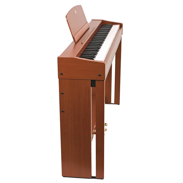 Music City – Tổng Kho Piano, Guitar, Organ | Dịch Vụ Giáo Dục Âm Nhạc