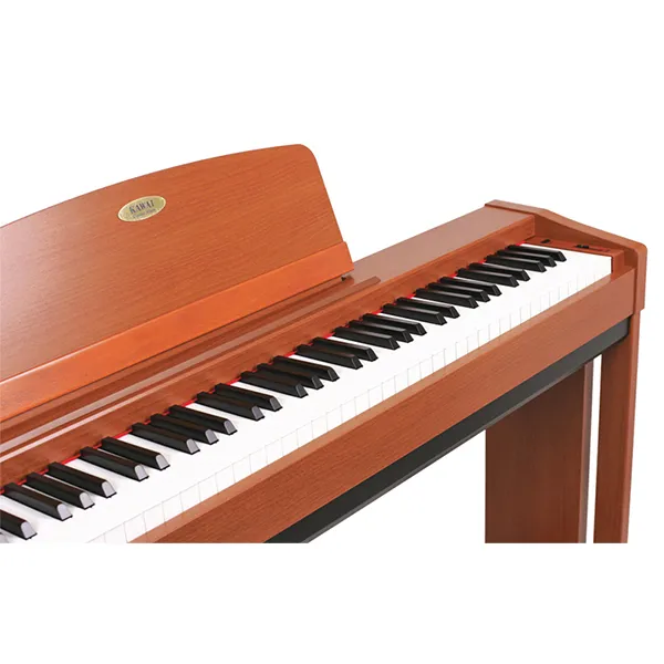Music City – Tổng Kho Piano, Guitar, Organ | Dịch Vụ Giáo Dục Âm Nhạc