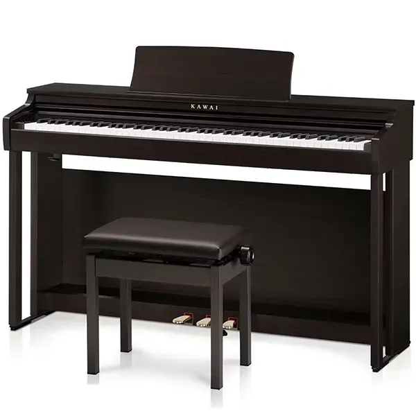 Music City – Tổng Kho Piano, Guitar, Organ | Dịch Vụ Giáo Dục Âm Nhạc