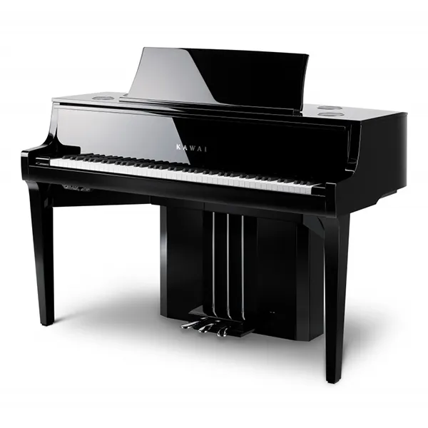 Music City – Tổng Kho Piano, Guitar, Organ | Dịch Vụ Giáo Dục Âm Nhạc