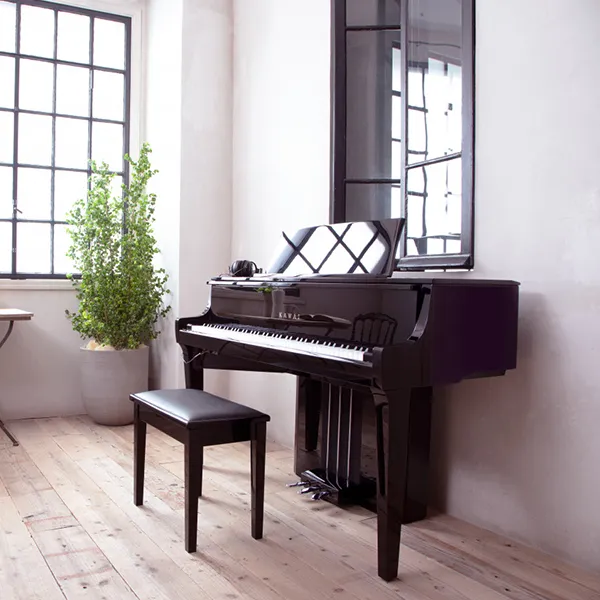 Music City – Tổng Kho Piano, Guitar, Organ | Dịch Vụ Giáo Dục Âm Nhạc