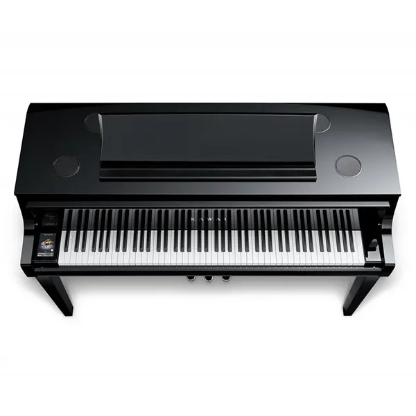 Music City – Tổng Kho Piano, Guitar, Organ | Dịch Vụ Giáo Dục Âm Nhạc