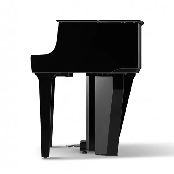 Music City – Tổng Kho Piano, Guitar, Organ | Dịch Vụ Giáo Dục Âm Nhạc