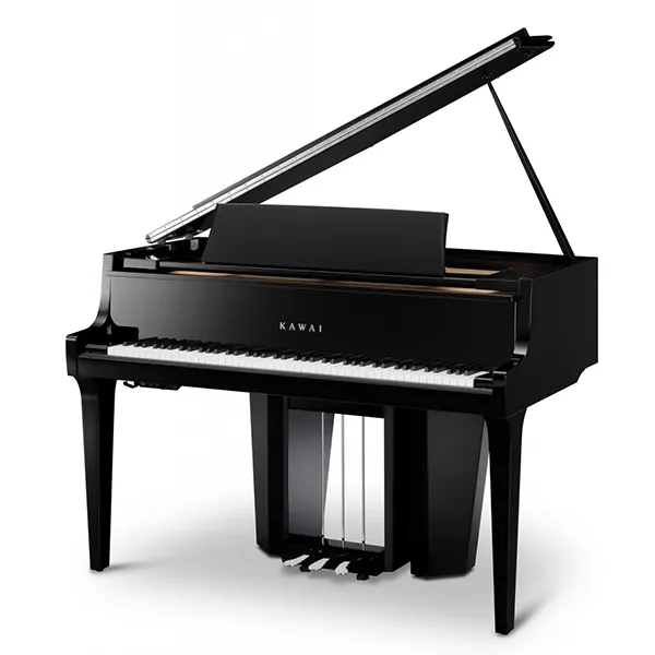 Music City – Tổng Kho Piano, Guitar, Organ | Dịch Vụ Giáo Dục Âm Nhạc