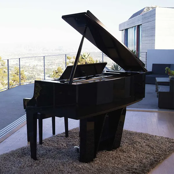 Music City – Tổng Kho Piano, Guitar, Organ | Dịch Vụ Giáo Dục Âm Nhạc
