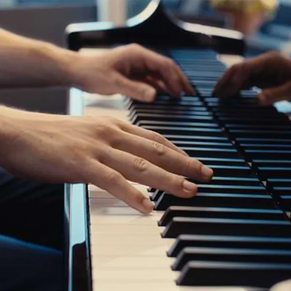 Music City – Tổng Kho Piano, Guitar, Organ | Dịch Vụ Giáo Dục Âm Nhạc