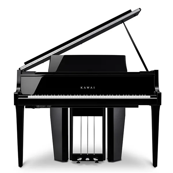 Music City – Tổng Kho Piano, Guitar, Organ | Dịch Vụ Giáo Dục Âm Nhạc