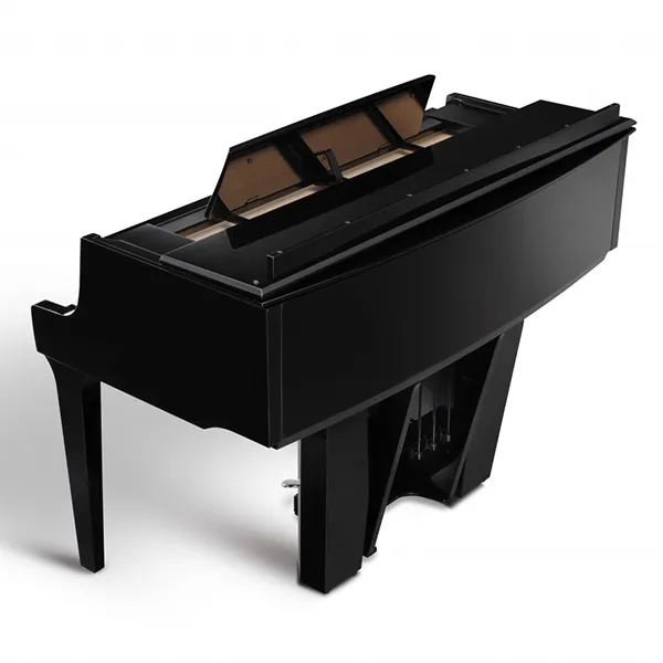 Music City – Tổng Kho Piano, Guitar, Organ | Dịch Vụ Giáo Dục Âm Nhạc