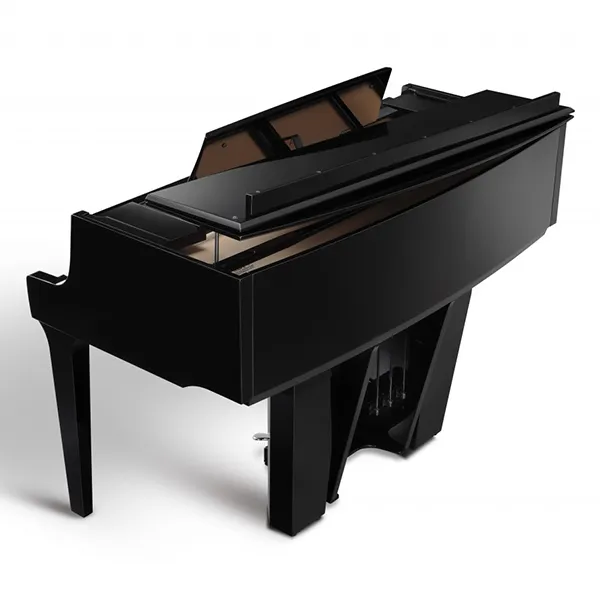 Music City – Tổng Kho Piano, Guitar, Organ | Dịch Vụ Giáo Dục Âm Nhạc