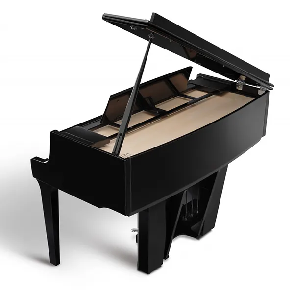 Music City – Tổng Kho Piano, Guitar, Organ | Dịch Vụ Giáo Dục Âm Nhạc