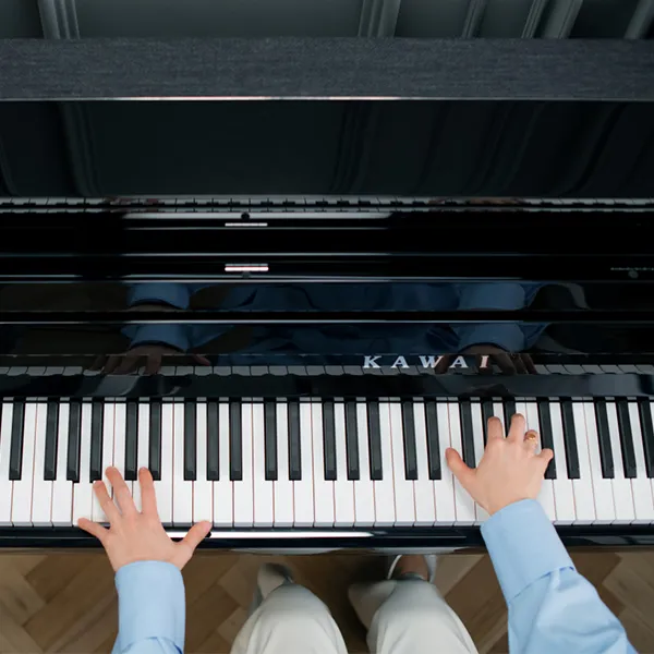 Music City – Tổng Kho Piano, Guitar, Organ | Dịch Vụ Giáo Dục Âm Nhạc