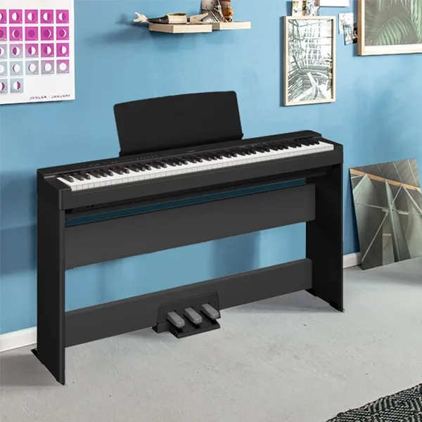Music City – Tổng Kho Piano, Guitar, Organ | Dịch Vụ Giáo Dục Âm Nhạc