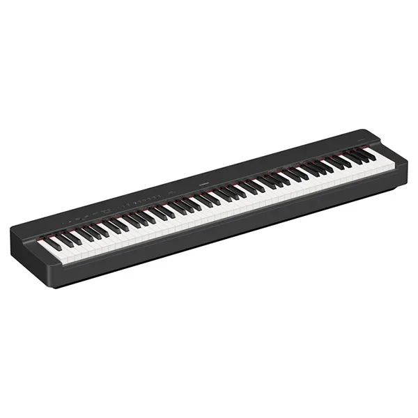 Music City – Tổng Kho Piano, Guitar, Organ | Dịch Vụ Giáo Dục Âm Nhạc