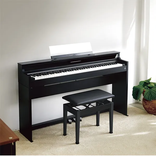 Music City – Tổng Kho Piano, Guitar, Organ | Dịch Vụ Giáo Dục Âm Nhạc