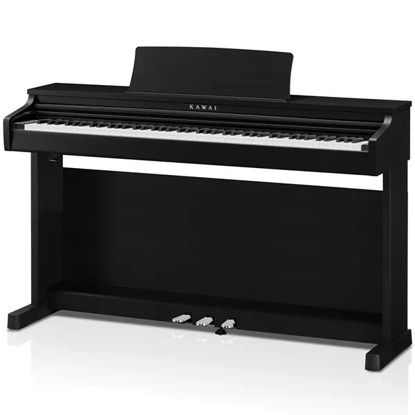Music City – Tổng Kho Piano, Guitar, Organ | Dịch Vụ Giáo Dục Âm Nhạc