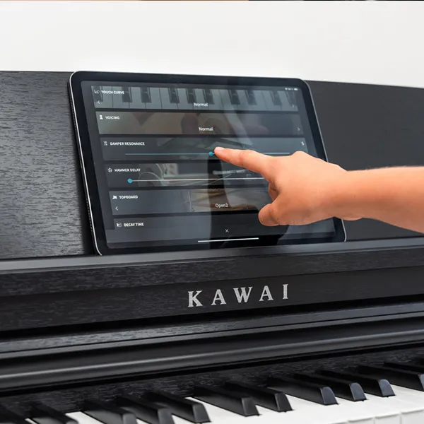 Music City – Tổng Kho Piano, Guitar, Organ | Dịch Vụ Giáo Dục Âm Nhạc