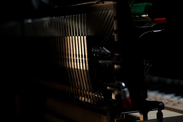 Hình ảnh Đàn Piano Kawai NOVUS NV5S - Ảnh musiccity.vn