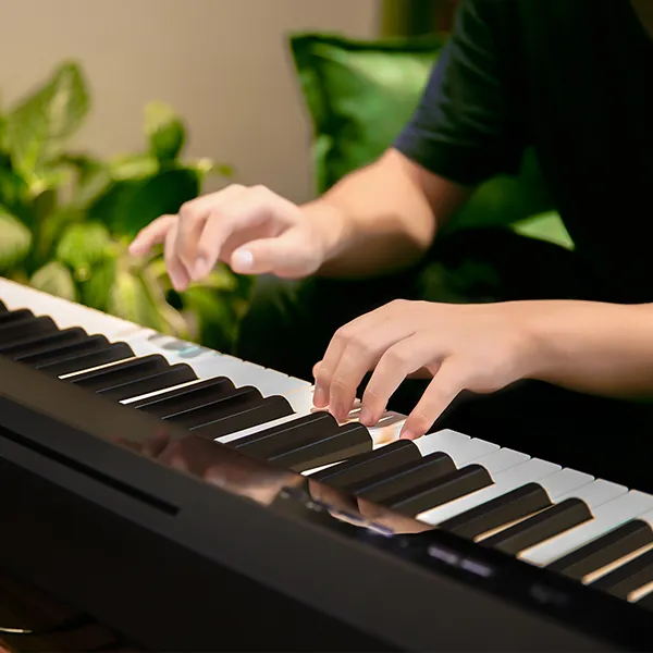 Music City – Tổng Kho Piano, Guitar, Organ | Dịch Vụ Giáo Dục Âm Nhạc