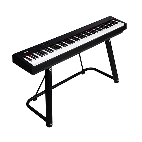Music City – Tổng Kho Piano, Guitar, Organ | Dịch Vụ Giáo Dục Âm Nhạc