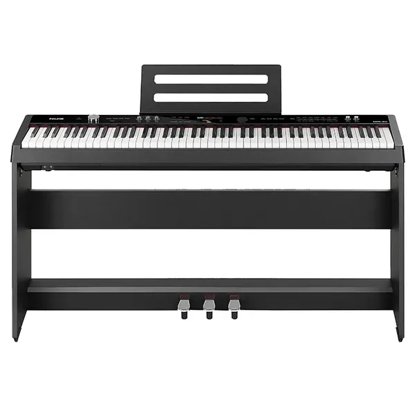 Music City – Tổng Kho Piano, Guitar, Organ | Dịch Vụ Giáo Dục Âm Nhạc
