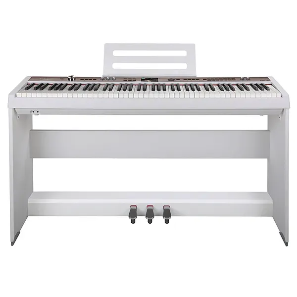 Music City – Tổng Kho Piano, Guitar, Organ | Dịch Vụ Giáo Dục Âm Nhạc