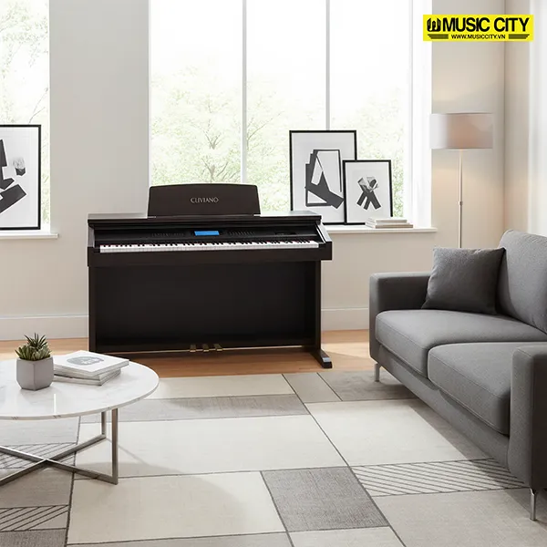 Music City – Tổng Kho Piano, Guitar, Organ | Dịch Vụ Giáo Dục Âm Nhạc