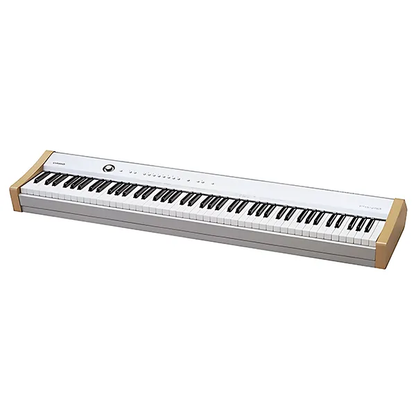 Music City – Tổng Kho Piano, Guitar, Organ | Dịch Vụ Giáo Dục Âm Nhạc