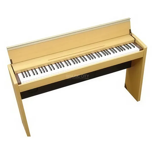 Music City – Tổng Kho Piano, Guitar, Organ | Dịch Vụ Giáo Dục Âm Nhạc