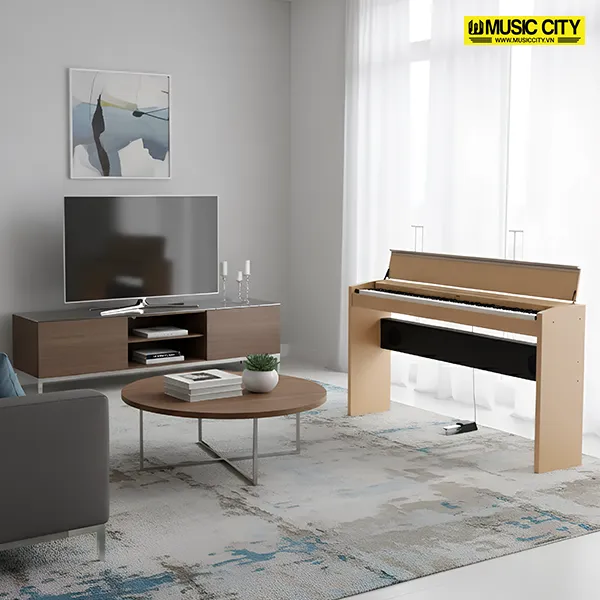 Music City – Tổng Kho Piano, Guitar, Organ | Dịch Vụ Giáo Dục Âm Nhạc
