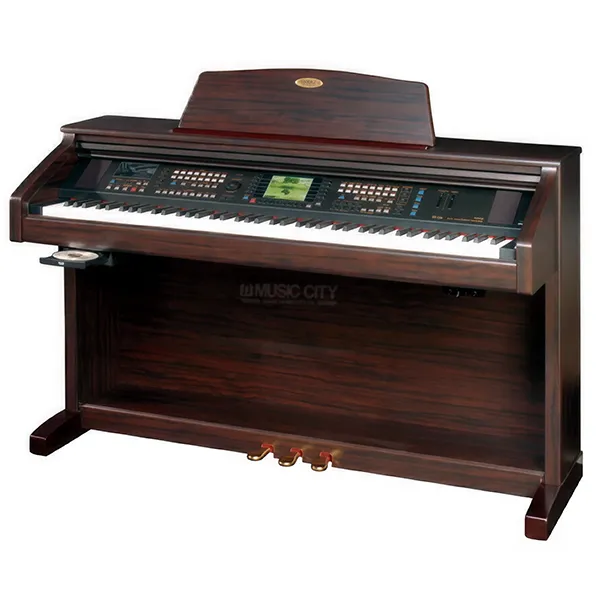Music City – Tổng Kho Piano, Guitar, Organ | Dịch Vụ Giáo Dục Âm Nhạc