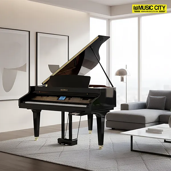 Music City – Tổng Kho Piano, Guitar, Organ | Dịch Vụ Giáo Dục Âm Nhạc