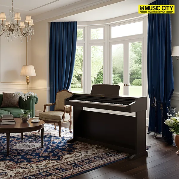 Music City – Tổng Kho Piano, Guitar, Organ | Dịch Vụ Giáo Dục Âm Nhạc