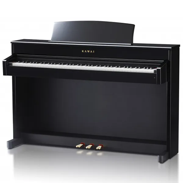 Music City – Tổng Kho Piano, Guitar, Organ | Dịch Vụ Giáo Dục Âm Nhạc