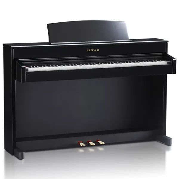 Music City – Tổng Kho Piano, Guitar, Organ | Dịch Vụ Giáo Dục Âm Nhạc