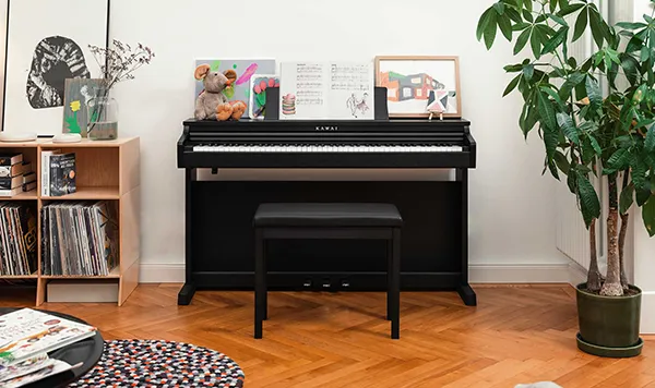 Music City – Tổng Kho Piano, Guitar, Organ | Dịch Vụ Giáo Dục Âm Nhạc