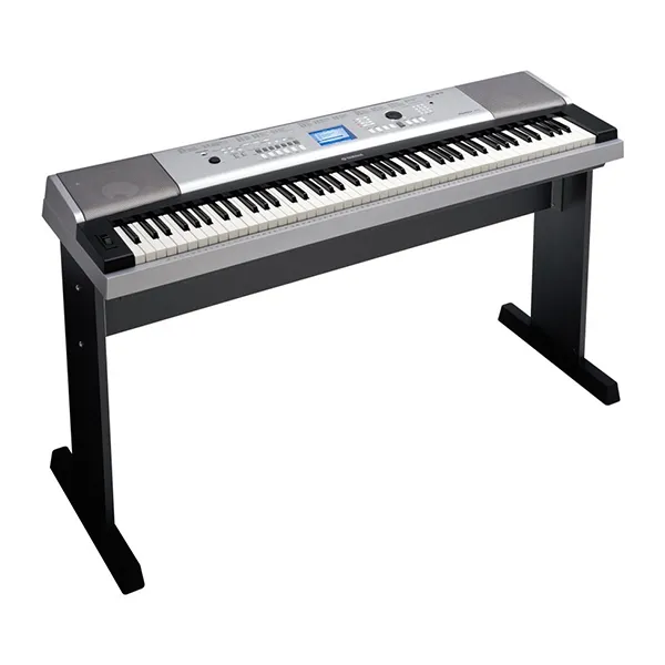 Music City – Tổng Kho Piano, Guitar, Organ | Dịch Vụ Giáo Dục Âm Nhạc
