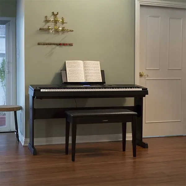 Music City – Tổng Kho Piano, Guitar, Organ | Dịch Vụ Giáo Dục Âm Nhạc