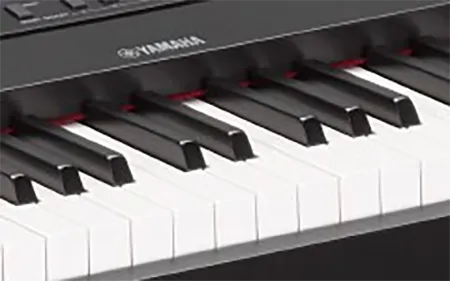 dan-piano-yamaha-dgx660