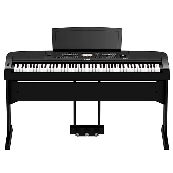 Music City – Tổng Kho Piano, Guitar, Organ | Dịch Vụ Giáo Dục Âm Nhạc