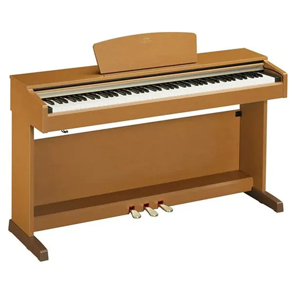 Music City – Tổng Kho Piano, Guitar, Organ | Dịch Vụ Giáo Dục Âm Nhạc