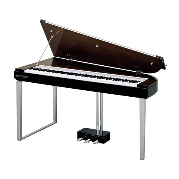 Music City – Tổng Kho Piano, Guitar, Organ | Dịch Vụ Giáo Dục Âm Nhạc