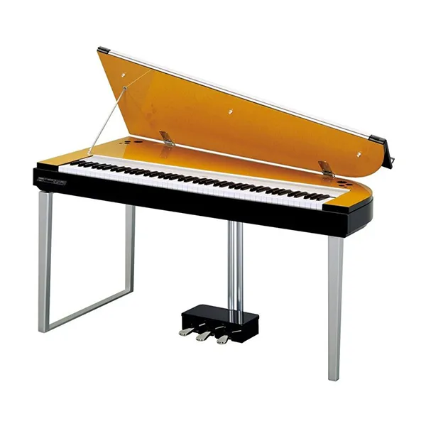Music City – Tổng Kho Piano, Guitar, Organ | Dịch Vụ Giáo Dục Âm Nhạc