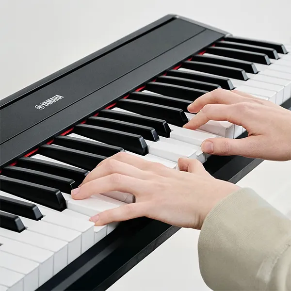 Music City – Tổng Kho Piano, Guitar, Organ | Dịch Vụ Giáo Dục Âm Nhạc