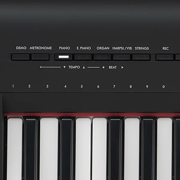 Music City – Tổng Kho Piano, Guitar, Organ | Dịch Vụ Giáo Dục Âm Nhạc