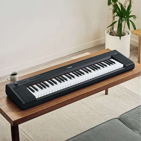 Music City – Tổng Kho Piano, Guitar, Organ | Dịch Vụ Giáo Dục Âm Nhạc