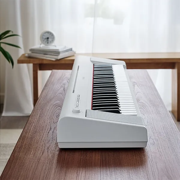 Music City – Tổng Kho Piano, Guitar, Organ | Dịch Vụ Giáo Dục Âm Nhạc