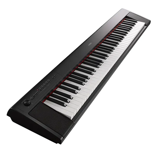 Music City – Tổng Kho Piano, Guitar, Organ | Dịch Vụ Giáo Dục Âm Nhạc