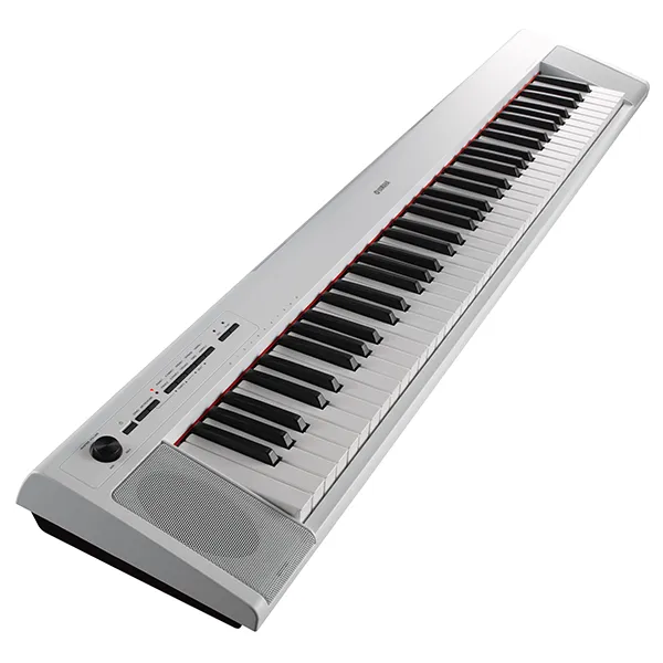 Music City – Tổng Kho Piano, Guitar, Organ | Dịch Vụ Giáo Dục Âm Nhạc