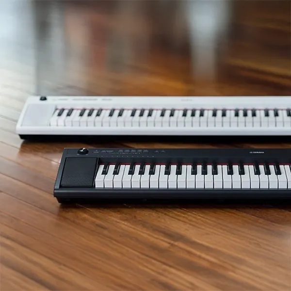 Music City – Tổng Kho Piano, Guitar, Organ | Dịch Vụ Giáo Dục Âm Nhạc